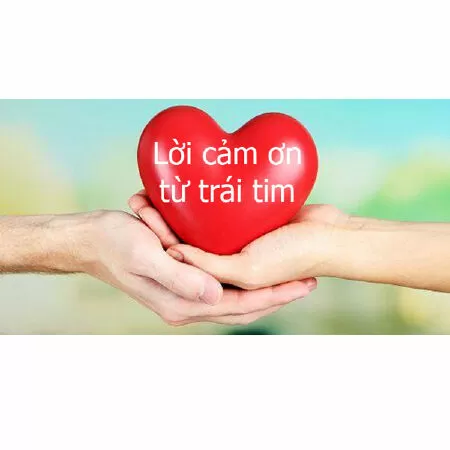 Văn mẫu lớp 12 nghị luận xã hội về văn hóa cảm ơn
