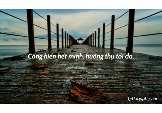Văn mẫu lớp 12 nêu suy nghĩ về quan điểm Cống hiến hết mình, hưởng thụ tối đa