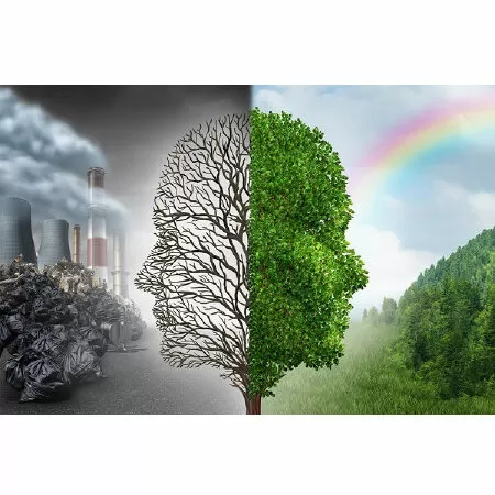 Văn mẫu lớp 12 nghị luận về câu nói: Ai cũng biết tàn phá rừng là tự thắt cổ mình