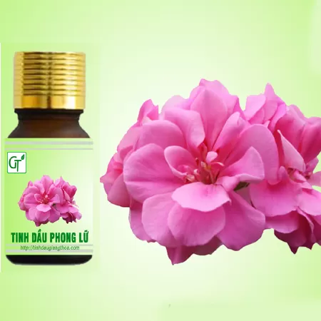 Tinh dầu phong lữ