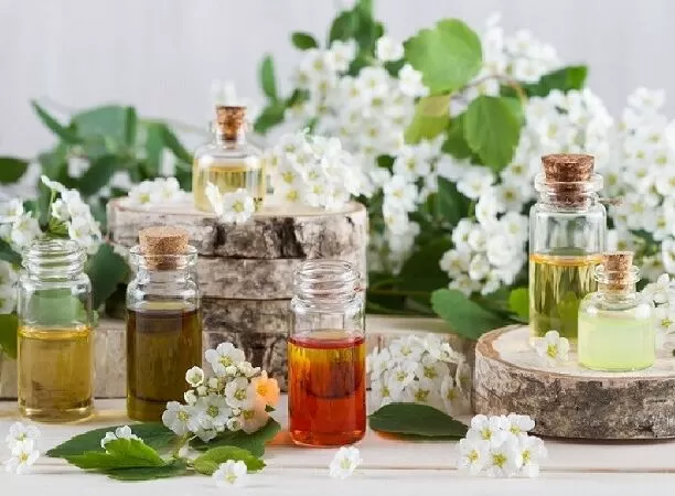 Top 10 cách tự nhiên để giảm rạn da sau sinh