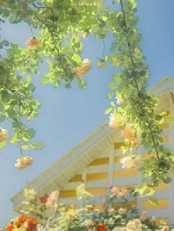 Bài phân tích số 1