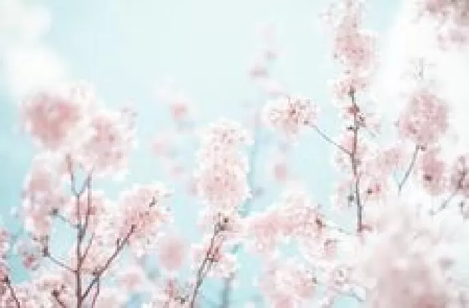 Dàn ý phân tích chi tiết