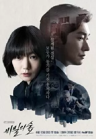 Stranger (2017) (Khu Rừng Bí Mật)