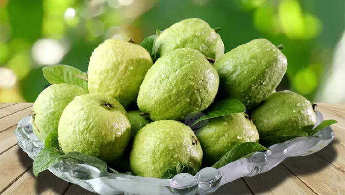 Có thể tăng cường miễn dịch