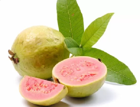 Có thể giảm nguy cơ ung thư