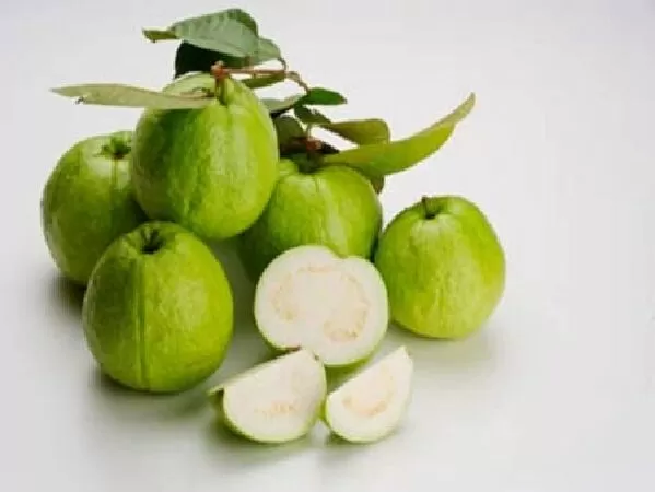 Có thể giúp ngăn ngừa ho