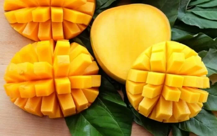 Cải thiện khả năng miễn dịch