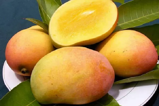 Hỗ trợ giảm cân