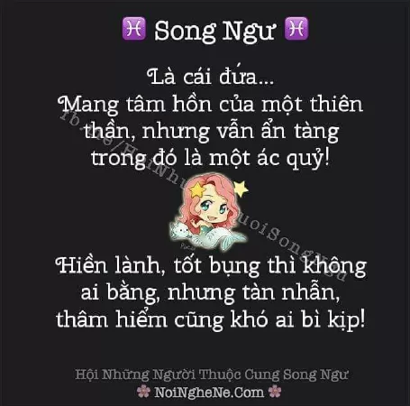 Nói thẳng với bạn