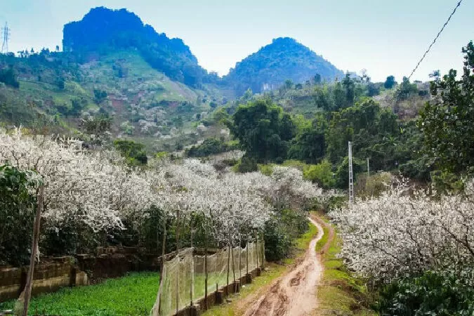 Bản Loóng Luông