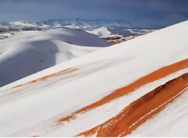 Tuyết rơi ở sa mạc Sahara
