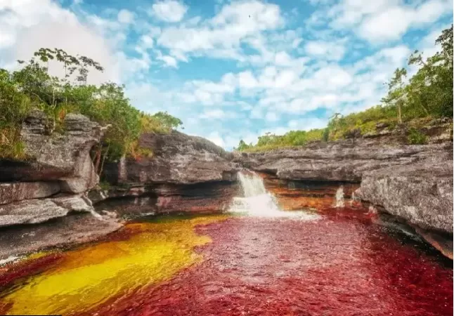 Caño Cristales - Dòng sông 5 màu