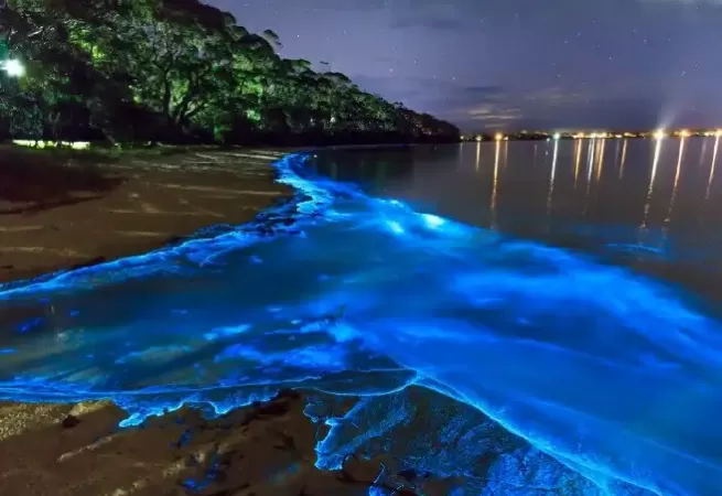 Sea Of Stars - Đi bộ xuống dòng nước phát sáng