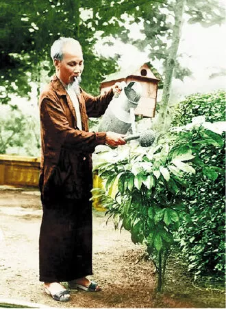 Cây Bác Hồ - Tế Hanh