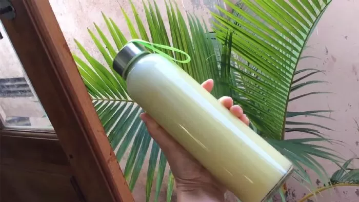 Nước cốt giá đậu xanh
