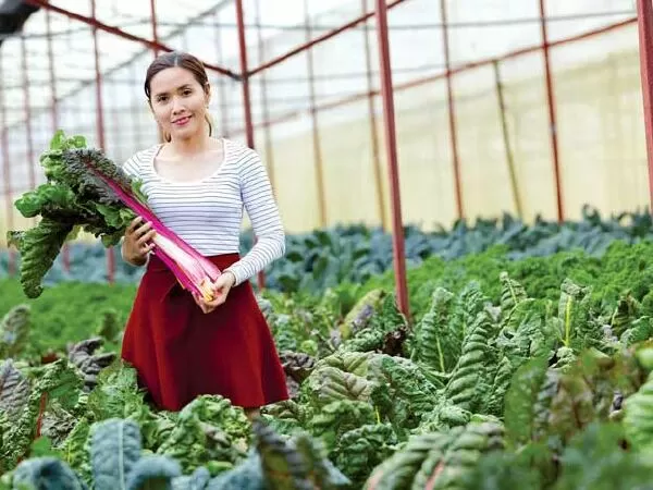 Tự kinh doanh