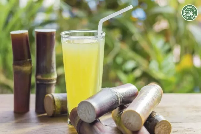 Bảo vệ làn da khỏi lão hóa