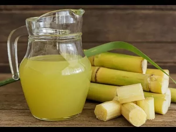 Hoạt động như một loại thuốc bổ cho hệ tiêu hóa