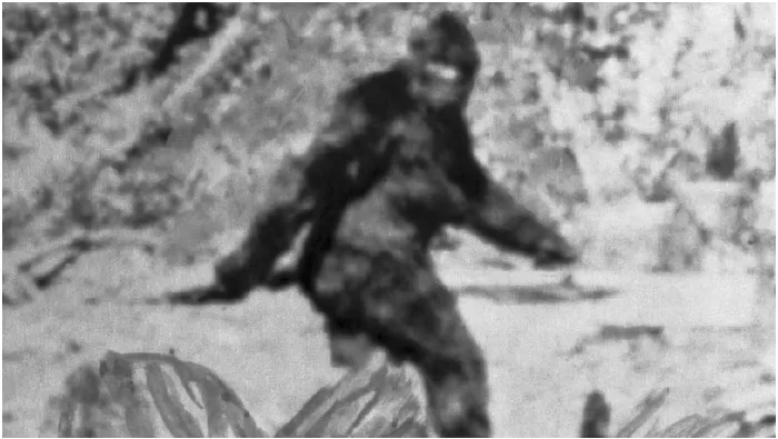 Bigfoot