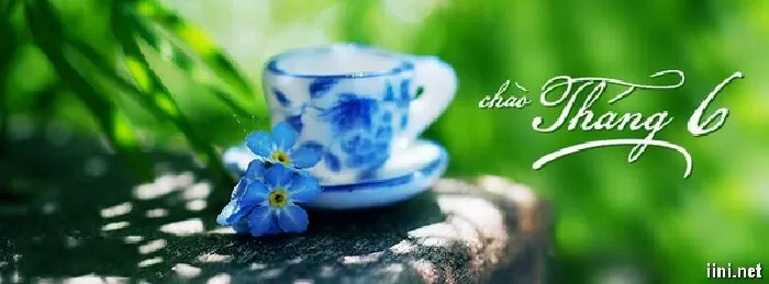 Tháng sáu mùa nhớ hay quên - Phú Sĩ