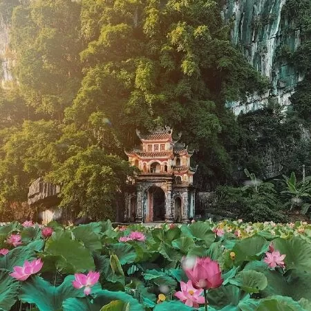 Tình khúc tháng sáu - Bằng Lăng Tím