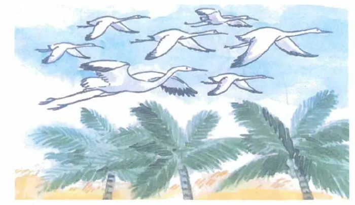 Cây dừa - Trần Đăng Khoa
