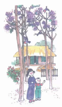 Ngôi nhà - Tô Hà