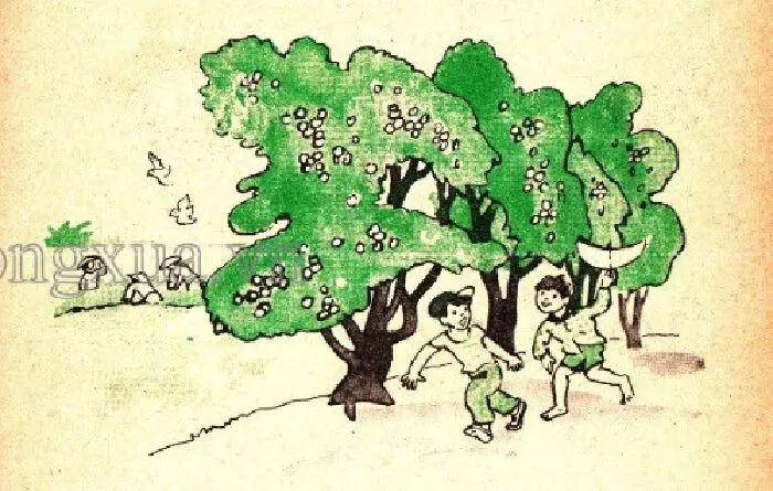 Bài 73 (ôn tập) trang 107