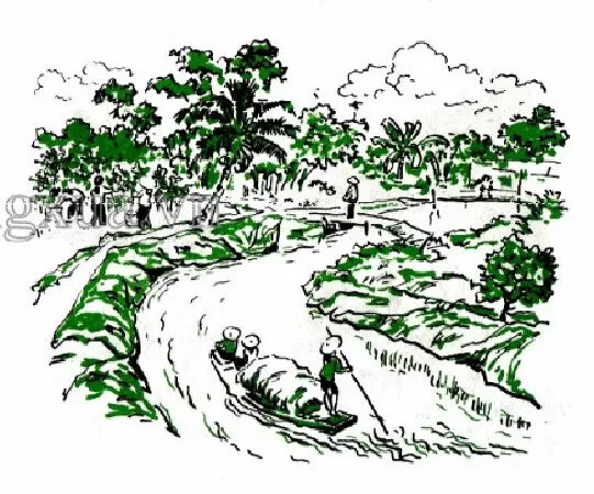 Quê em - Nguyên Hồ (tập đọc trang 119)