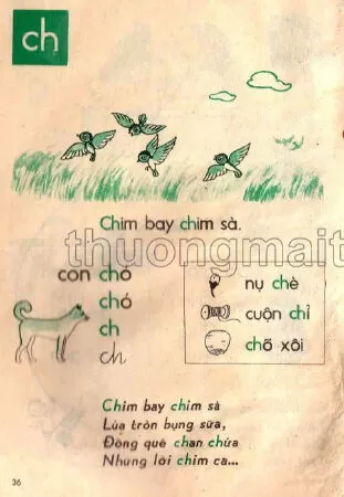 Chữ ch (trang 36)