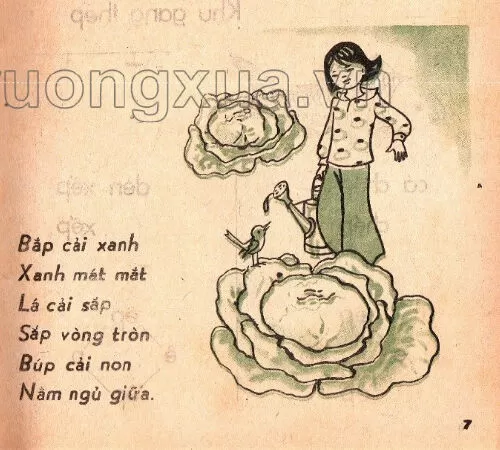 Vần ăp, âp (trang 7)
