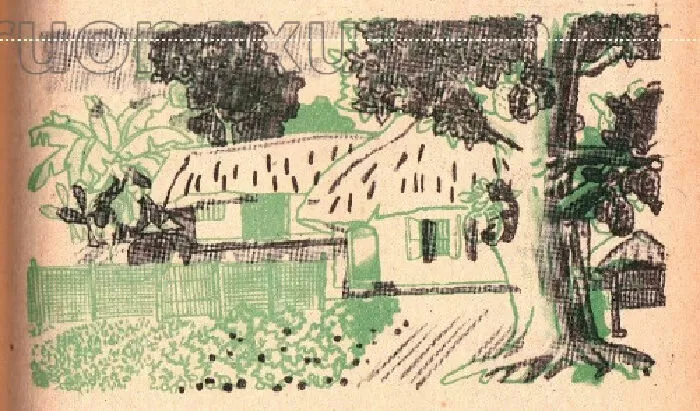 Vần uôm, uôn, uông (trang 75)