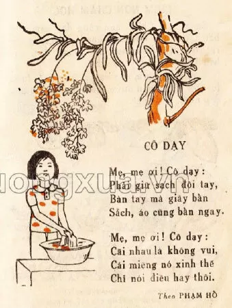 Cô dạy - Phạm Hổ