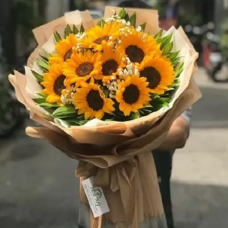 Hoa hướng dương