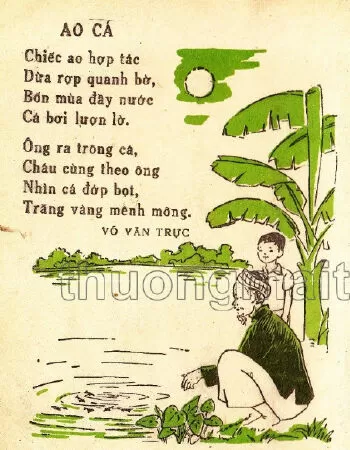Ao cá - Võ Văn Trực