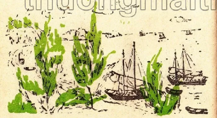 Quê em vùng biển - Nhược Thủy