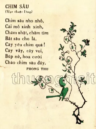 Chim sâu - Phong Thu