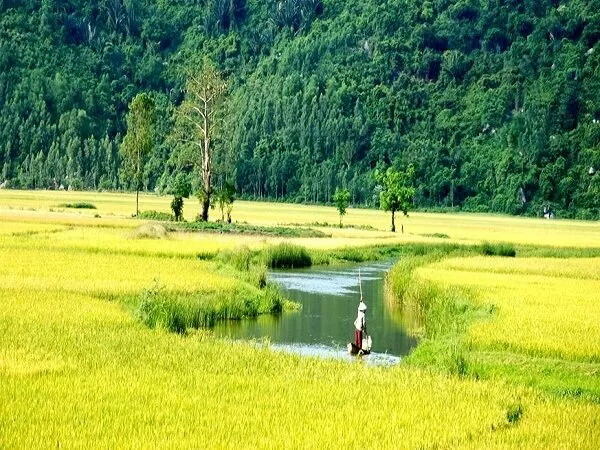 Quê hương - Nguyễn Đình Huân