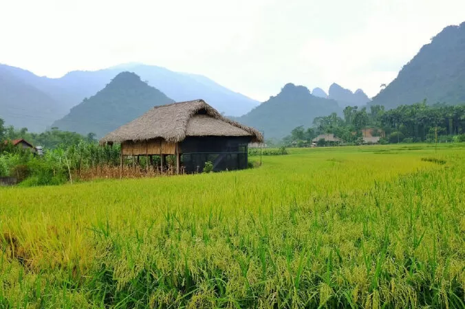 Quê hương nỗi nhớ - Hoàng Thanh Tâm