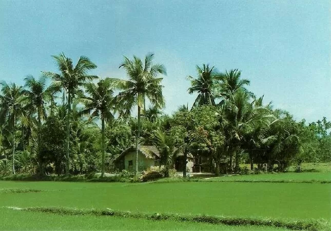 Quê hương thanh bình - Lãng Du Khách