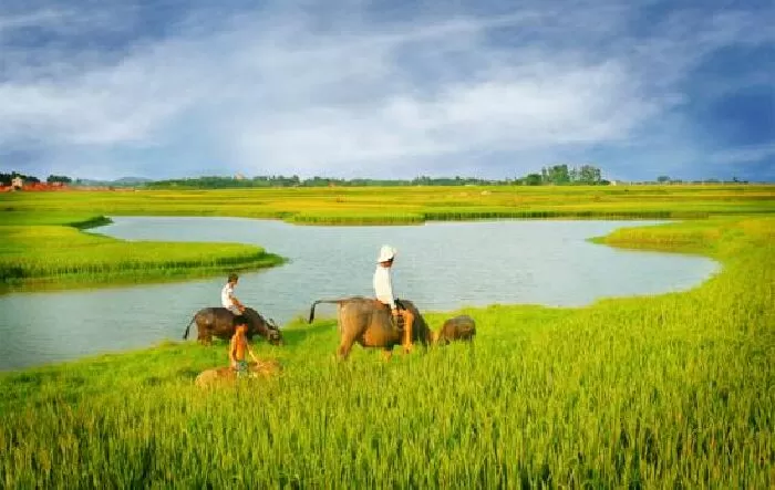 Quê hương tôi - Ta Vẫn Trong Ta