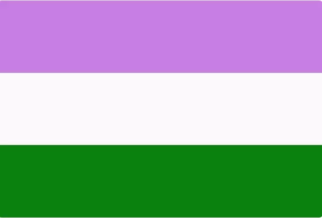 Genderqueer Pride Flag
