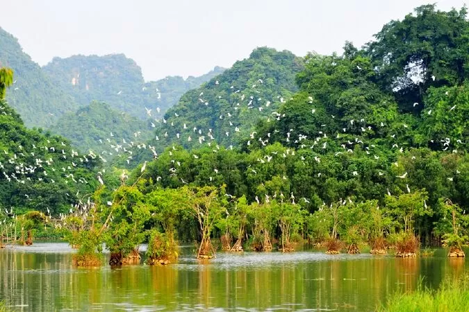 Khu Du Lịch Sinh Thái Dung