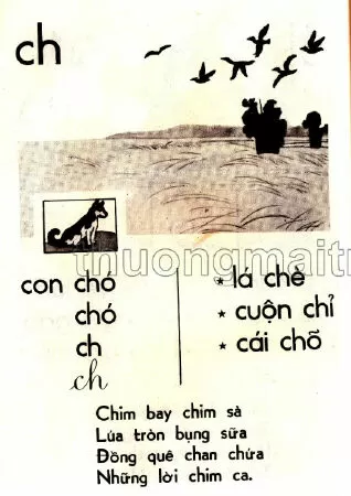 Chữ ch (trang 42)
