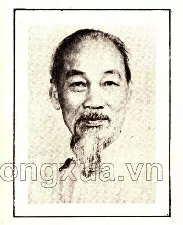 Bài ôn (trang 51)