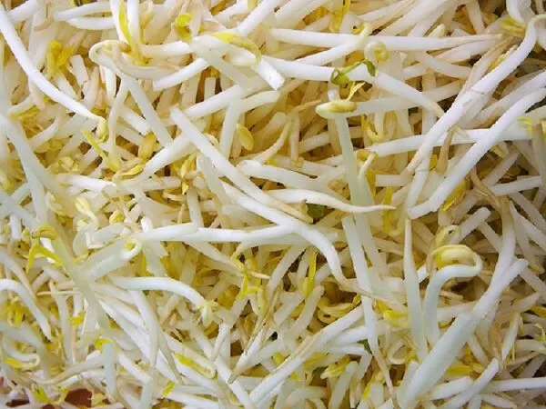 Giá đỗ