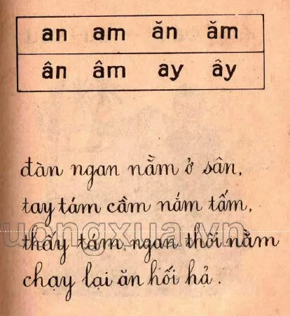 Ôn tập (trang 57)