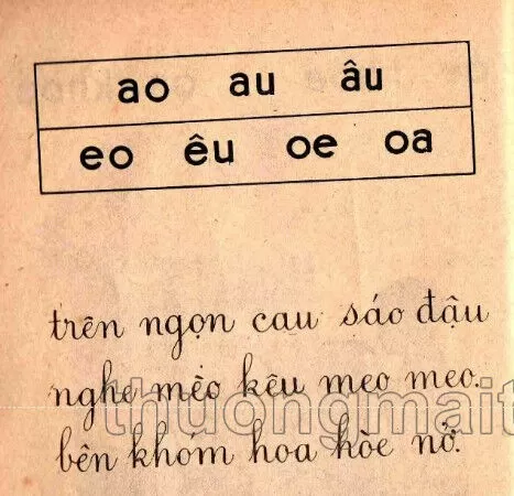 Ôn tập (trang 62)
