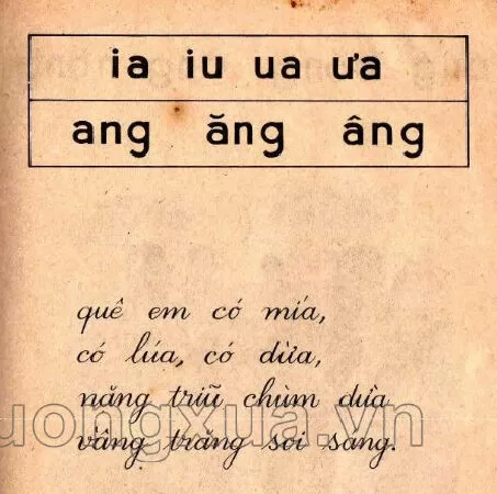 Ôn tập (trang 67)